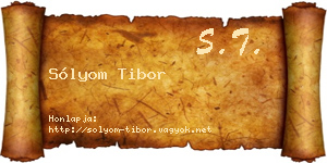Sólyom Tibor névjegykártya